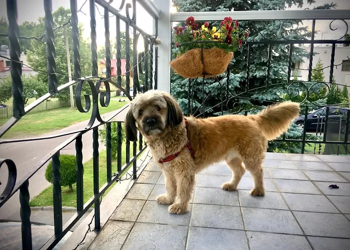 Guest house Papli 2 3*